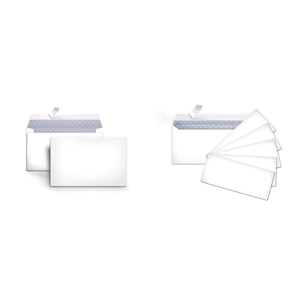 #6 3/4 Security-Tinted Envelopes with Peel & Seal, 300pk