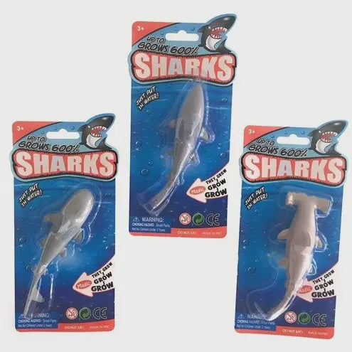 Growing Sharks - 3 Assorted