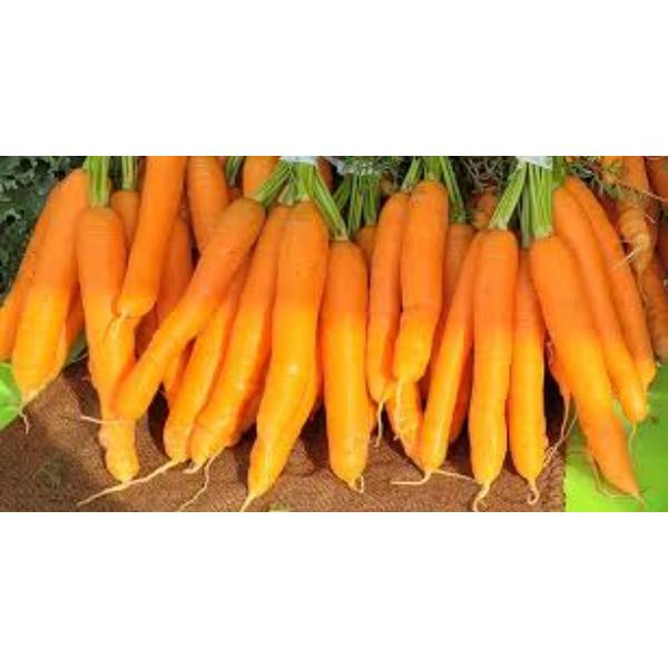 CARROTS, Orange 2 lb bag