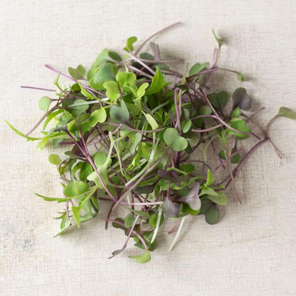 Fresh Picked Microgreens - Home Grown 1oz.