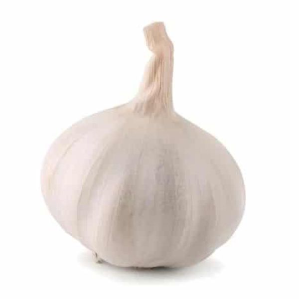Garlic Bulb 1 ct.