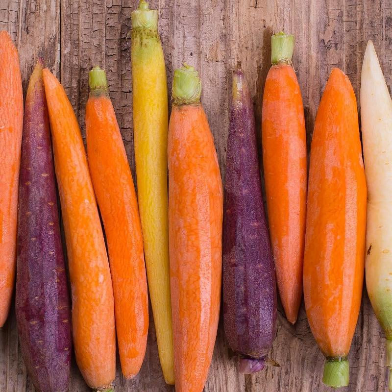 Peeled Multi-Color Baby Carrots 8 oz.