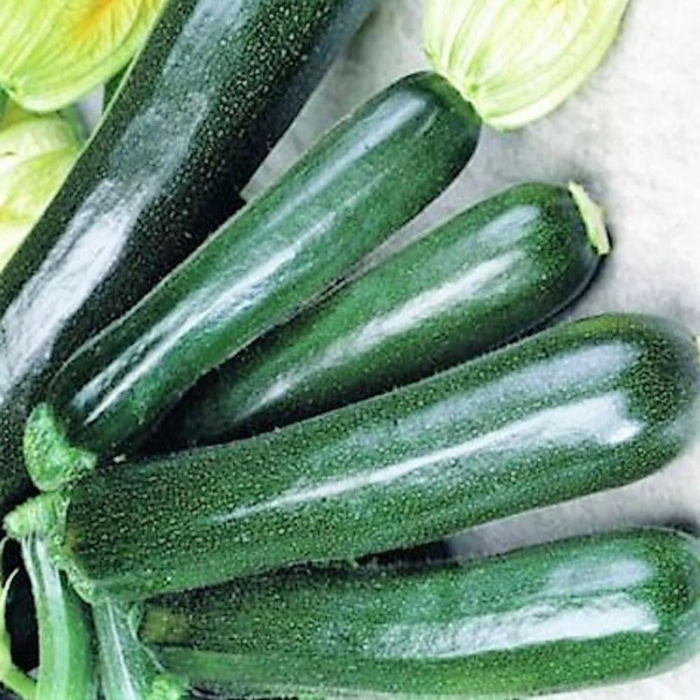 SQUASH, ZUCCHINI 4 CT