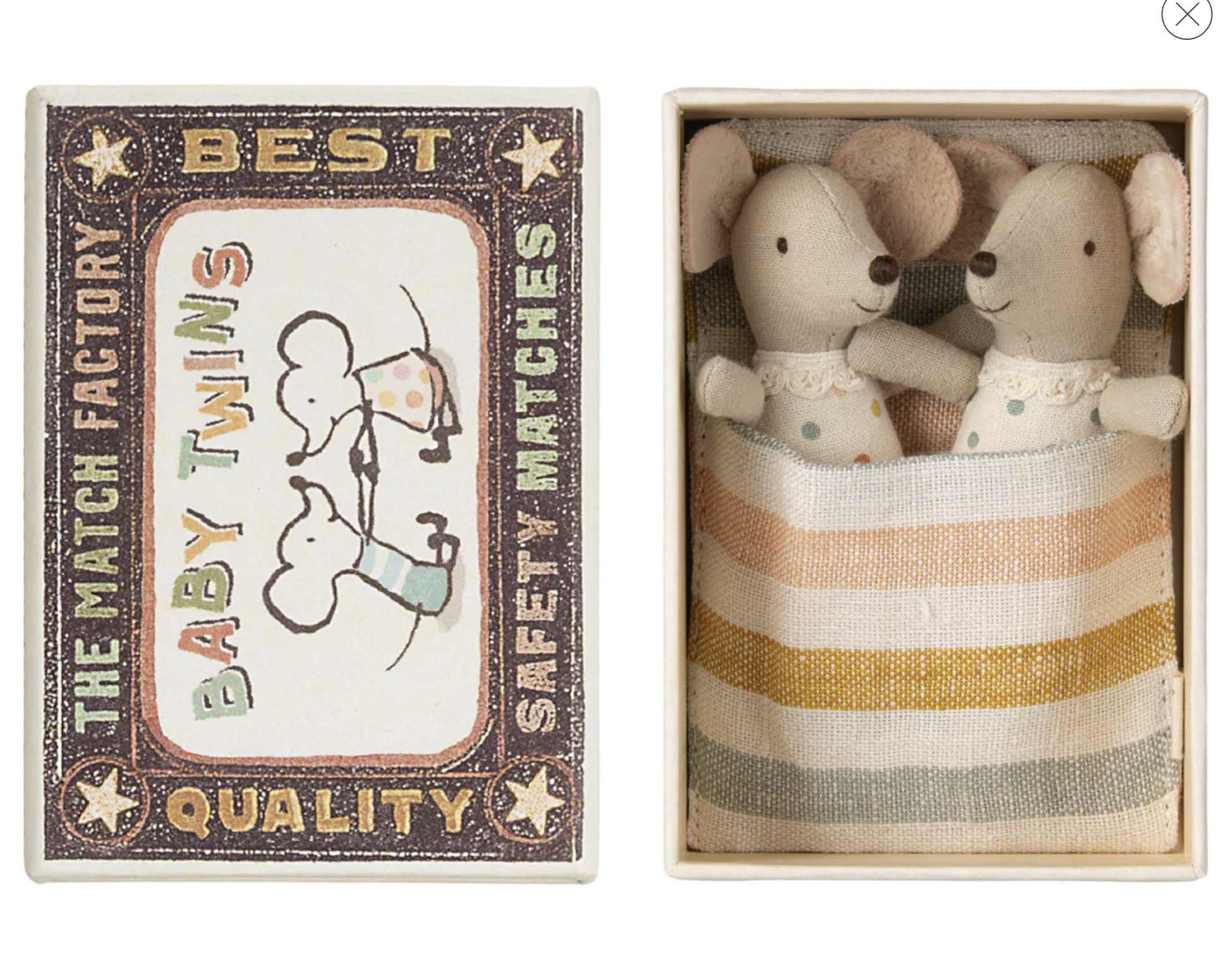 Twins Baby Mice in Matchbox