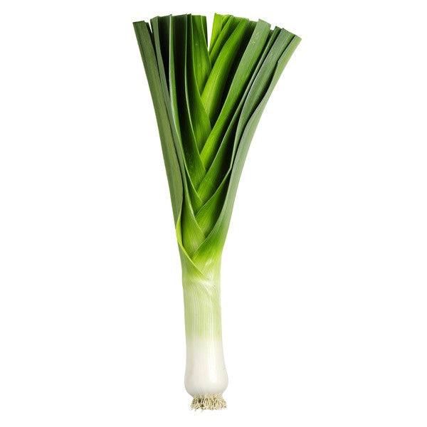 Leek Bunch