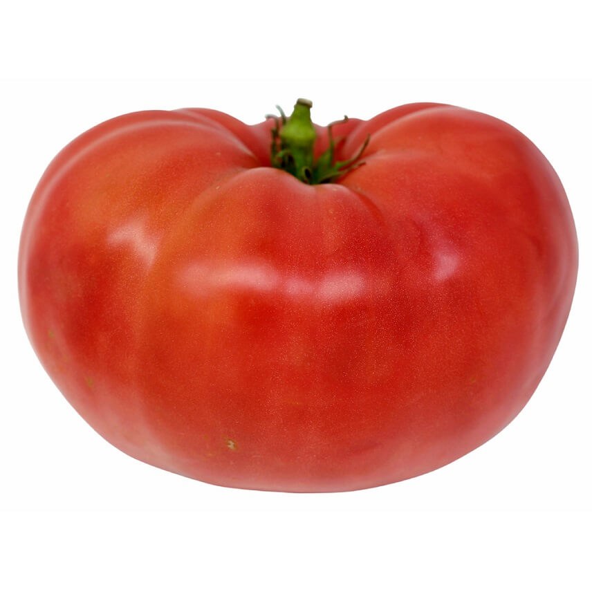 Tomato, Fresh 1 ct