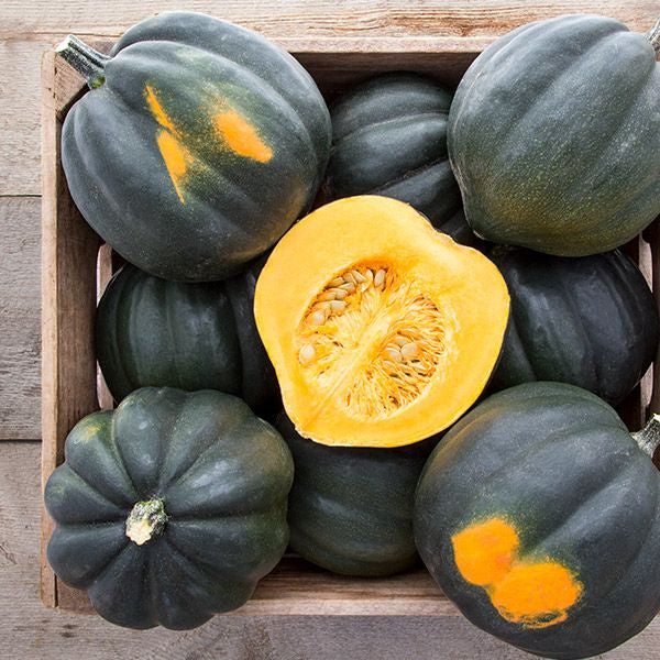 Acorn Squash