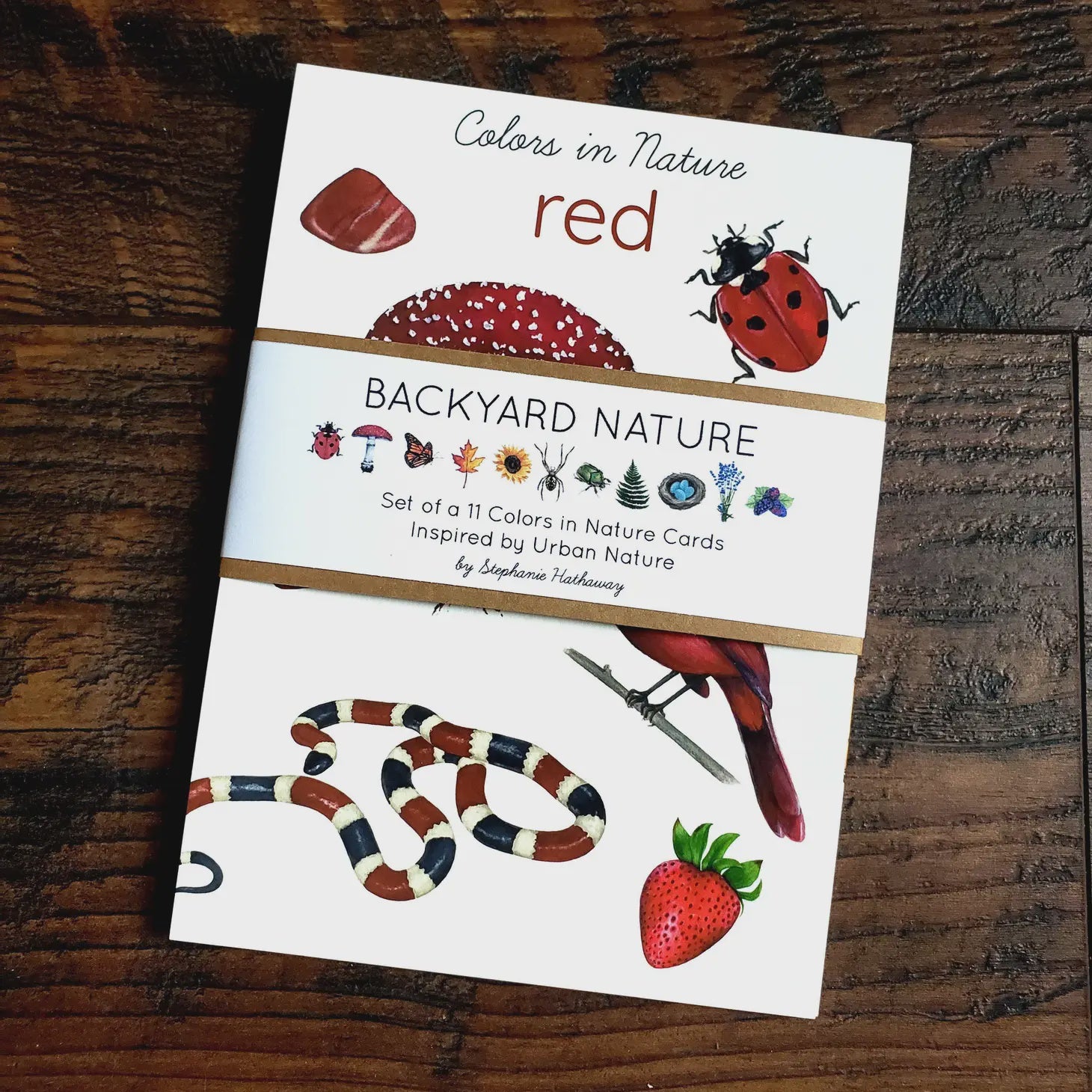 Backyard Nature Art Cards, Colors in Nature