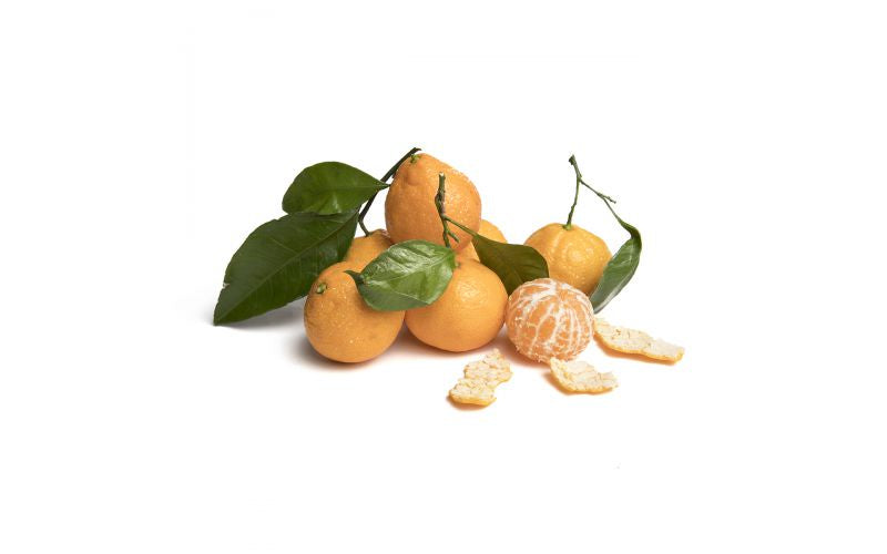 Mandarins, Stem & Leaf Satsuma 3 lbs