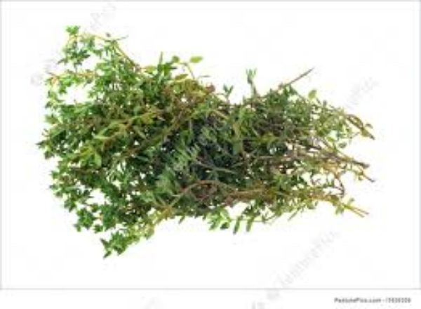 HERB, Thyme - Fresh