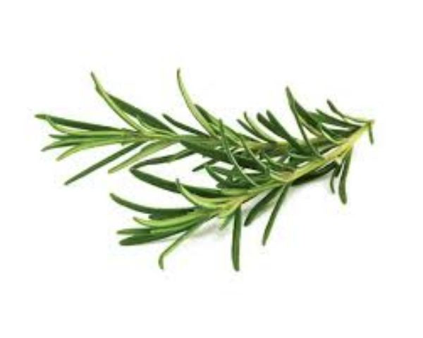 HERB, Rosemary - Fresh Bunch