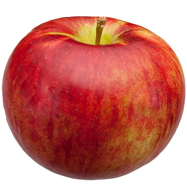 APPLE, Evercrisp 1 Ct