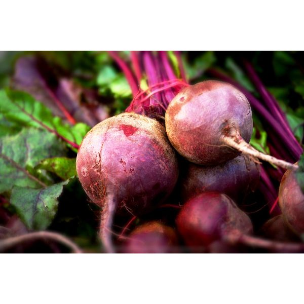 Beets, Fresh Red 2 lbs.