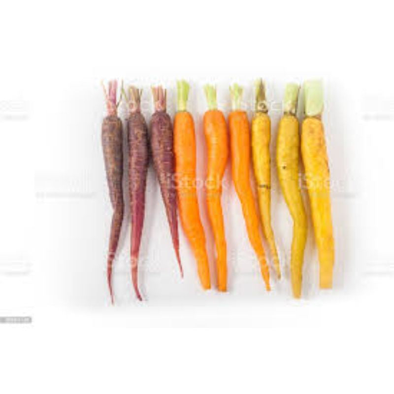 CARROTS, Organic Rainbow 2 Lbs.