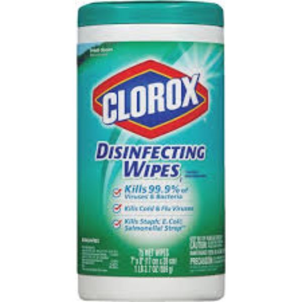 Clorox Disinfecting Wipes Fresh Scent 75ct