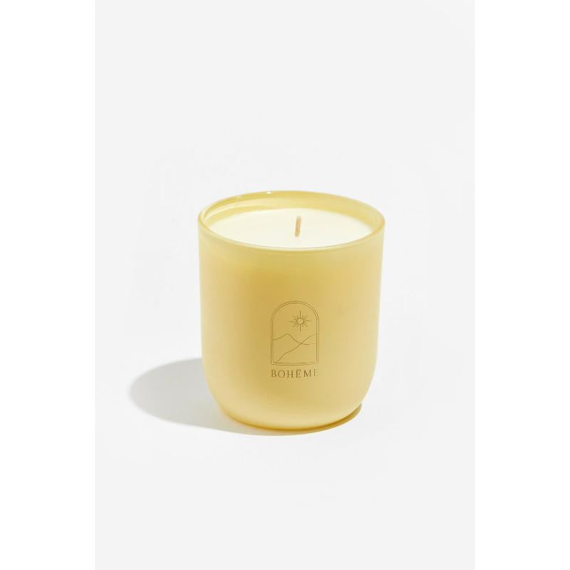 Joshua Tree Scented Candle - 8.5 oz