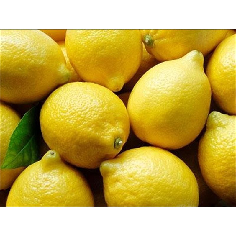 Lemons 6 Ct.