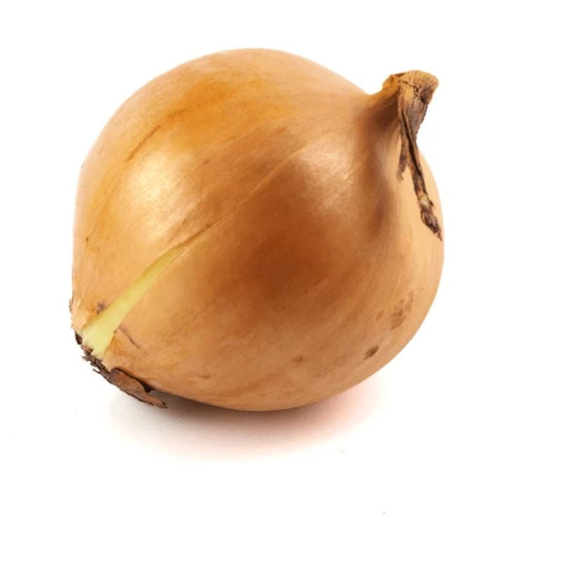 Onion, Vidalia 1 Ct