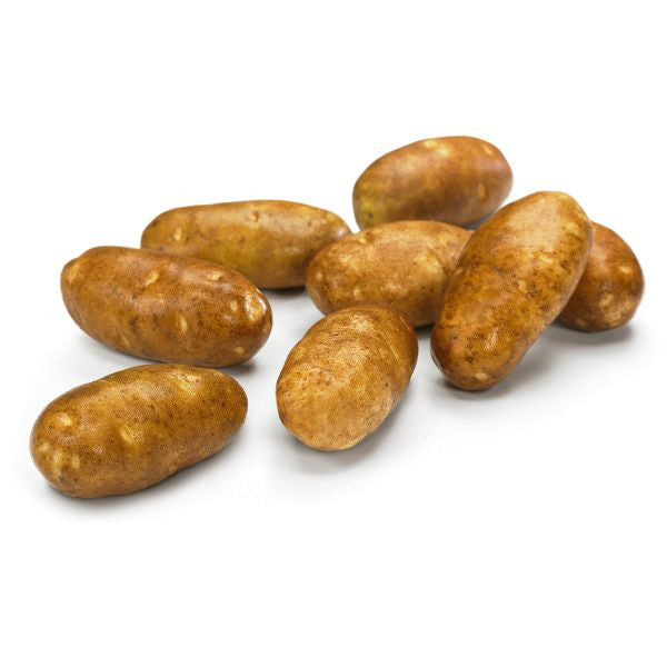 Potato, Russet 5 lbs