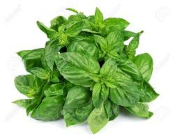 HERB, Basil Fresh 2 oz.