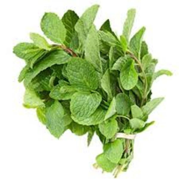 HERB - Mint,  Fresh Bunch