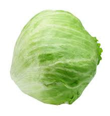 Iceberg Lettuce