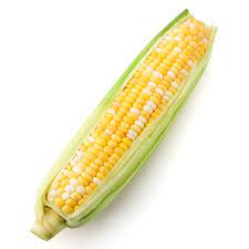 Corn-on-the-Cob 1 Ct.