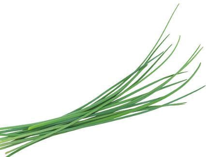 Scallions 1 Bunch