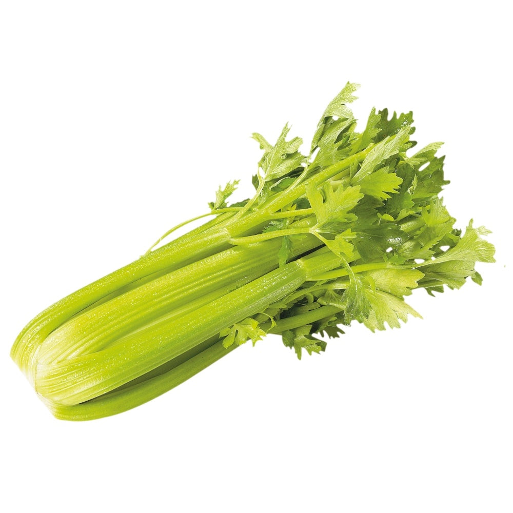 Celery Bunch