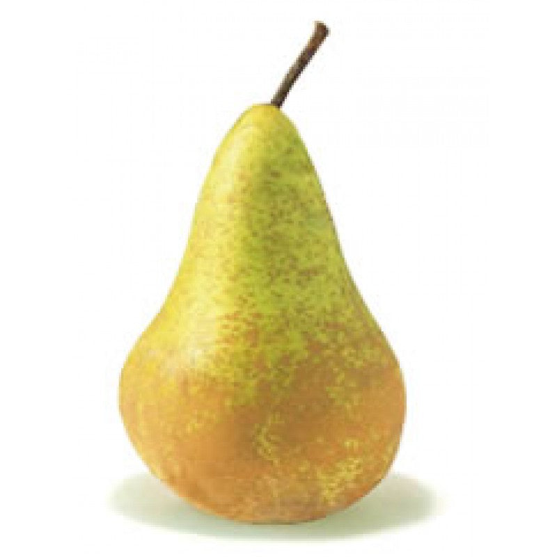 Pear, Bosc 1 ct.