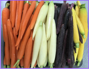 Carrots Rainbow Hand Peeled 5 lbs.